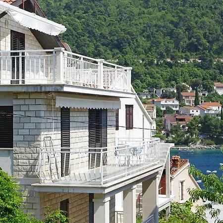 Boris * Smokvica (Korcula)