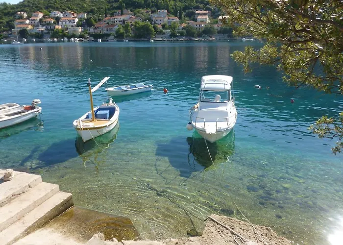 Boris * Smokvica (Korcula)